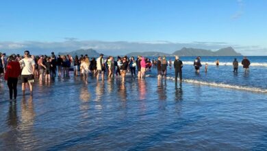 New Zealanders help to save about 30 whales after a pod strands on a beach