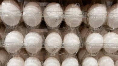 Eggs are available — but pricier — as the holiday baking season begins