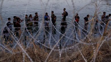 Court backs Texas over razor wire installed on US-Mexico border