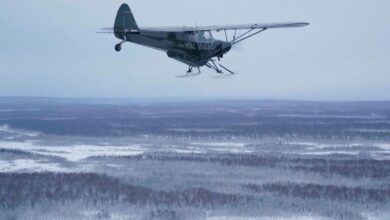 ‘It’s a bird! It’s a plane!’ In Alaska, it’s both, with a pilot dropping turkeys off to rural homes