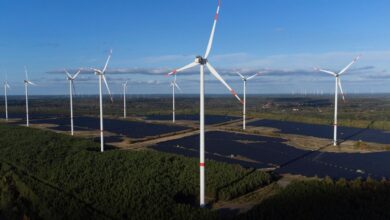 Germany’s top court rejects renewable energy producers’ case against use of windfall profits