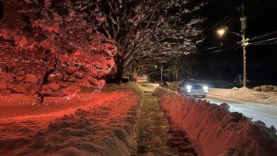 Storm blankets parts of the US during busy holiday travel weekend with more snow and cold forecast