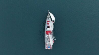 Climate solution: Sails make a comeback in shipping, to dent its huge carbon footprint