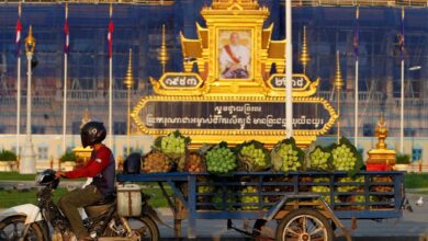 13 women convicted in Cambodia of acting as surrogates for foreign clients