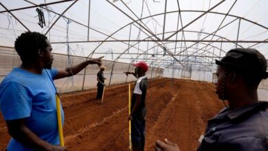 A farming project in South Africa is helping deaf people build skills and find jobs