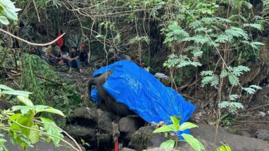 A zoo elephant dies in Indonesia after being swept away in a river