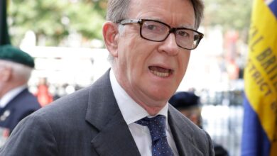 Veteran Labour politician Peter Mandelson set to be named UK ambassador to the US