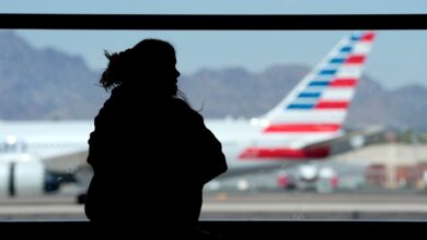 FAA halts all American Airlines flights in the US after airline reports technical issues systemwide