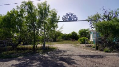 What is the Native American Church and why is peyote sacred to members?