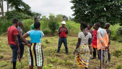 ‘We fall and we rise’: Some amputees in Sierra Leone turn to farming to combat discrimination