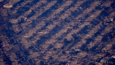 Photo gallery: Aerial photos show the scope of destruction from the Pacific Palisades wildfire