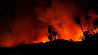 With their Los Angeles-area homes still smoldering, families return to search the ruins for memories