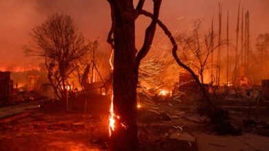 Santa Anita postpones weekend racing as track is staging area for fire relief efforts