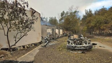 Fires burn Los Angeles schools and destroy outdoor education sanctuaries