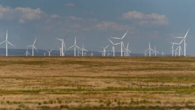 Trump temporarily halts leasing and permitting for wind energy projects