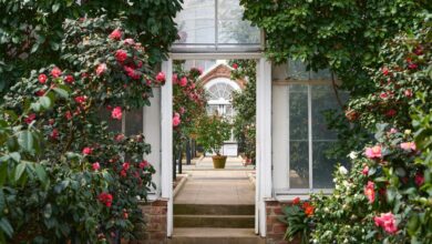 Indoor botanical gardens for a dose of green during a cold LI winter