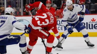 Talbot stops 28 shots as Red Wings beat Lightning 2-0