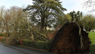 Thousands in Ireland still without power as officials say Storm Éowyn cleanup will take time