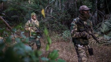 Mystical beliefs fuel Senegal’s illegal big cat trade and threaten lion’s survival in West Africa