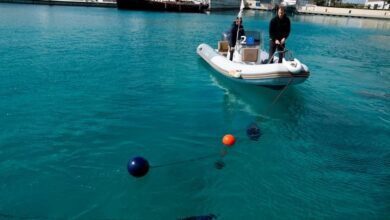 A swarm of underwater drones can help artificial reefs off Cyprus bring back sea life, officials say