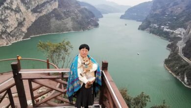 A cliff that looks like a puppy resting beside the Yangtze River delights people in China