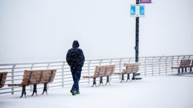 3 LI boardwalks perfect for a winter stroll