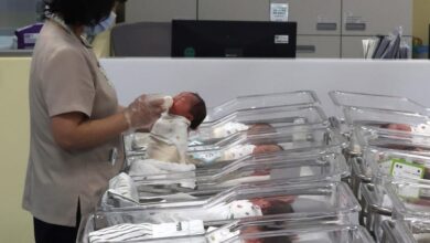 The number of babies born in South Korea last year rebounded for first time in nearly a decade