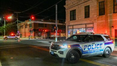 Bay Shore hit-and-run kills pedestrian, police said