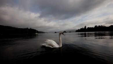 UK government vows to clean up Lake Windemere after beauty spot clogged with sewage