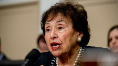 Ex-US Rep. Nita Lowey, a New York Democrat who chaired powerful House Appropriations Committee, dies