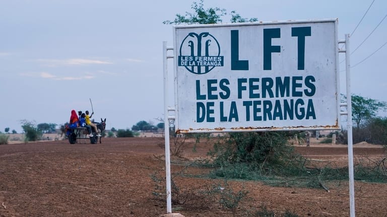 ‘I bought their dream’: How a US company’s huge land deal in Senegal went bust ‘I bought their dream’: How a US company’s huge land deal in Senegal went bust