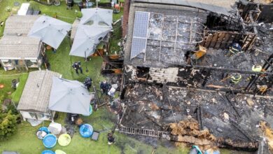 After Happy Cat fire on Long Island, volunteers scramble to find care, shelter for more than 200 cats