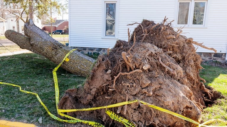 Forecasters warn of deadly floods and strong tornadoes in parts of the Midwest and South Forecasters warn of deadly floods and strong tornadoes in parts of the Midwest and South