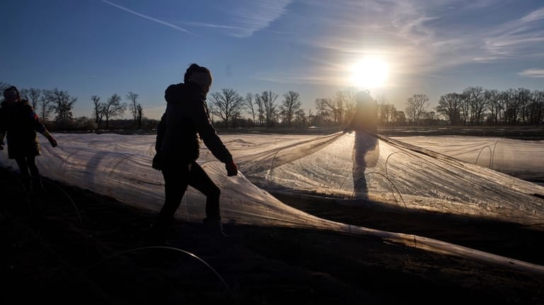 Springtime is when Germany indulges its passion for white asparagus