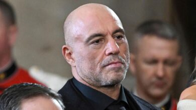 Joe Rogan and Dave Portnoy are among the Trump backers now questioning his tariff policies